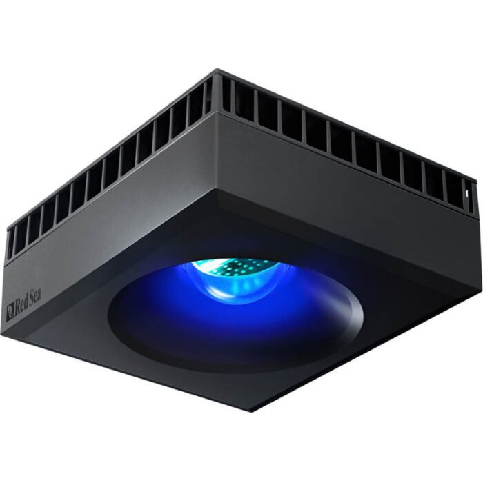 red sea reef led