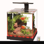 Edgelit Cube Aquarium