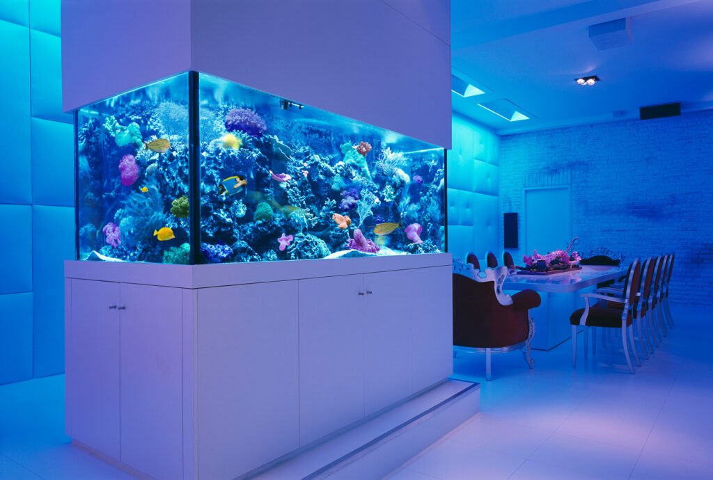 marine aquarium